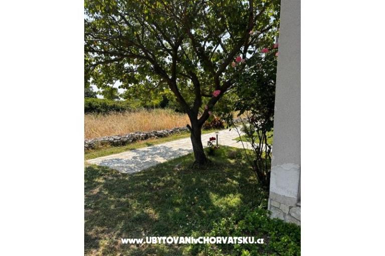 Appartements Ana Ercegović  – foto 8