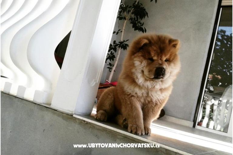 Appartements Denis i Sandra – foto 15