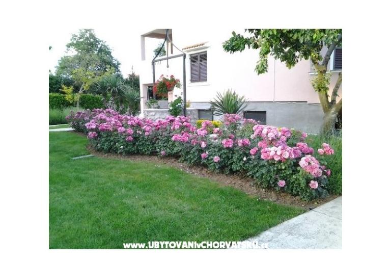 Appartements Martina – foto 16