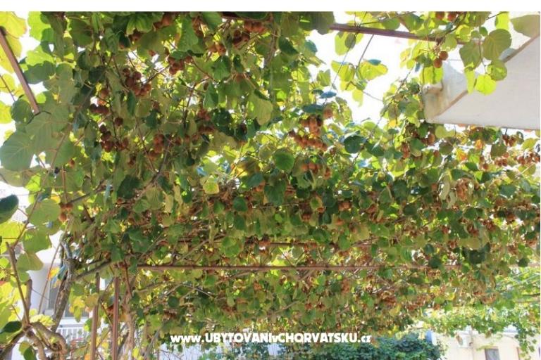 Appartements DEMS 1 – foto 5