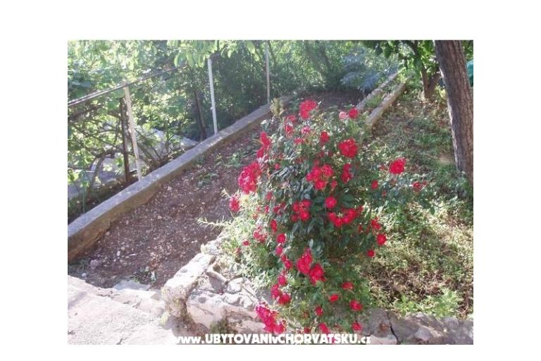 Appartements Tiho – foto 11