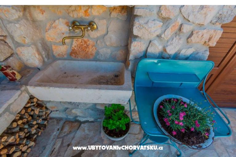 the Melody of Nature – foto 35