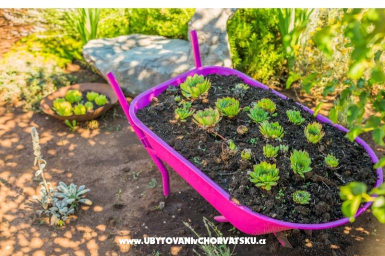 the Melody of Nature – foto 39