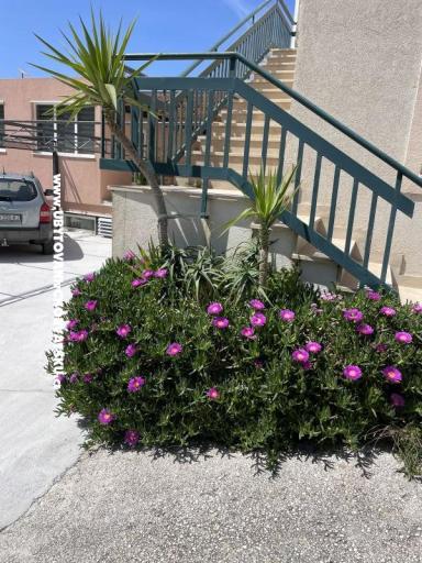 Appartements Leko – foto 22
