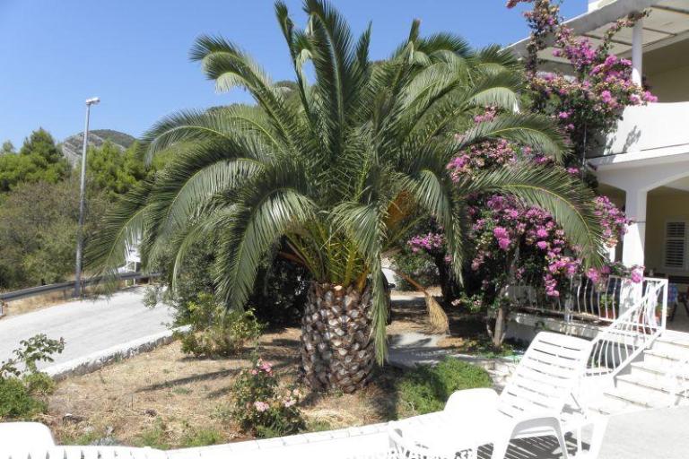 Appartements Cavelis – foto 10